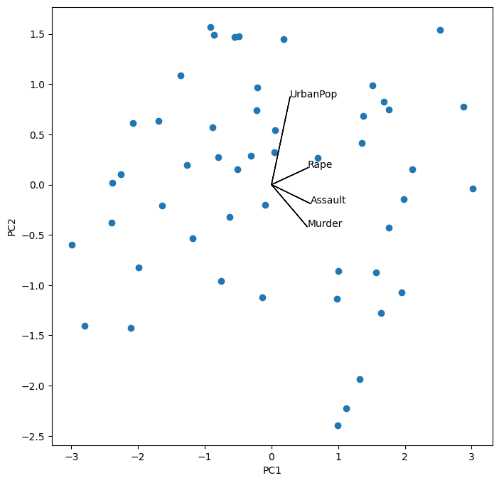 <Figure size 800x800 with 1 Axes>